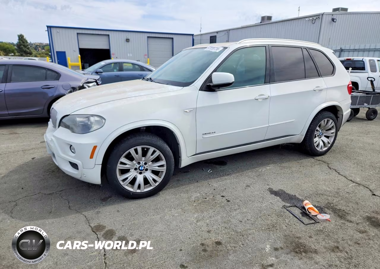 2010 BMW X5 xDrive30I