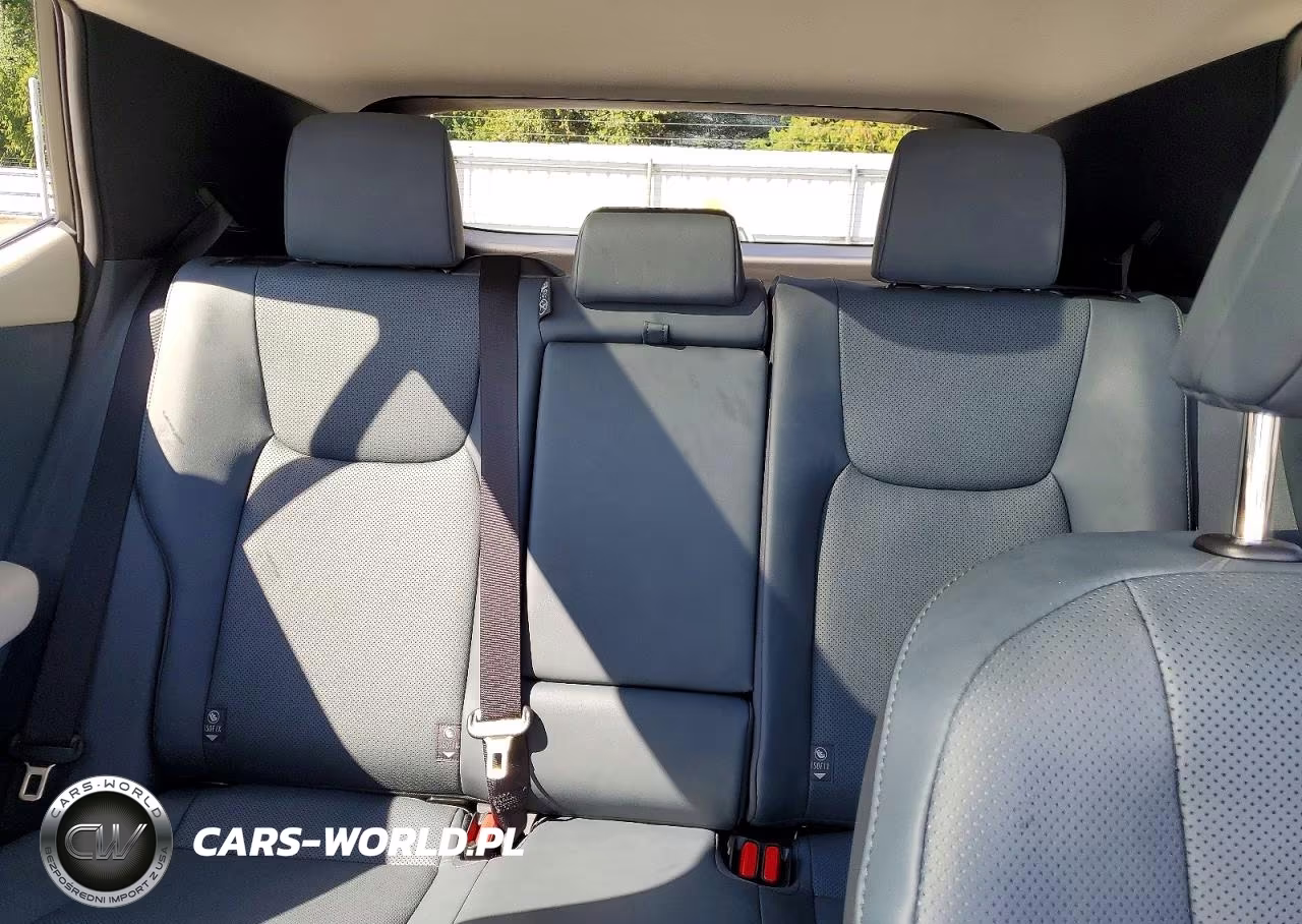 2023 Lexus Rz 450E VIN:JTJAAAABXPA012729 - 10