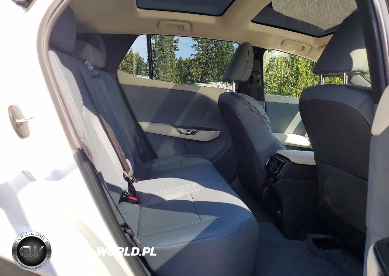2023 Lexus Rz 450E VIN:JTJAAAABXPA012729 - 11