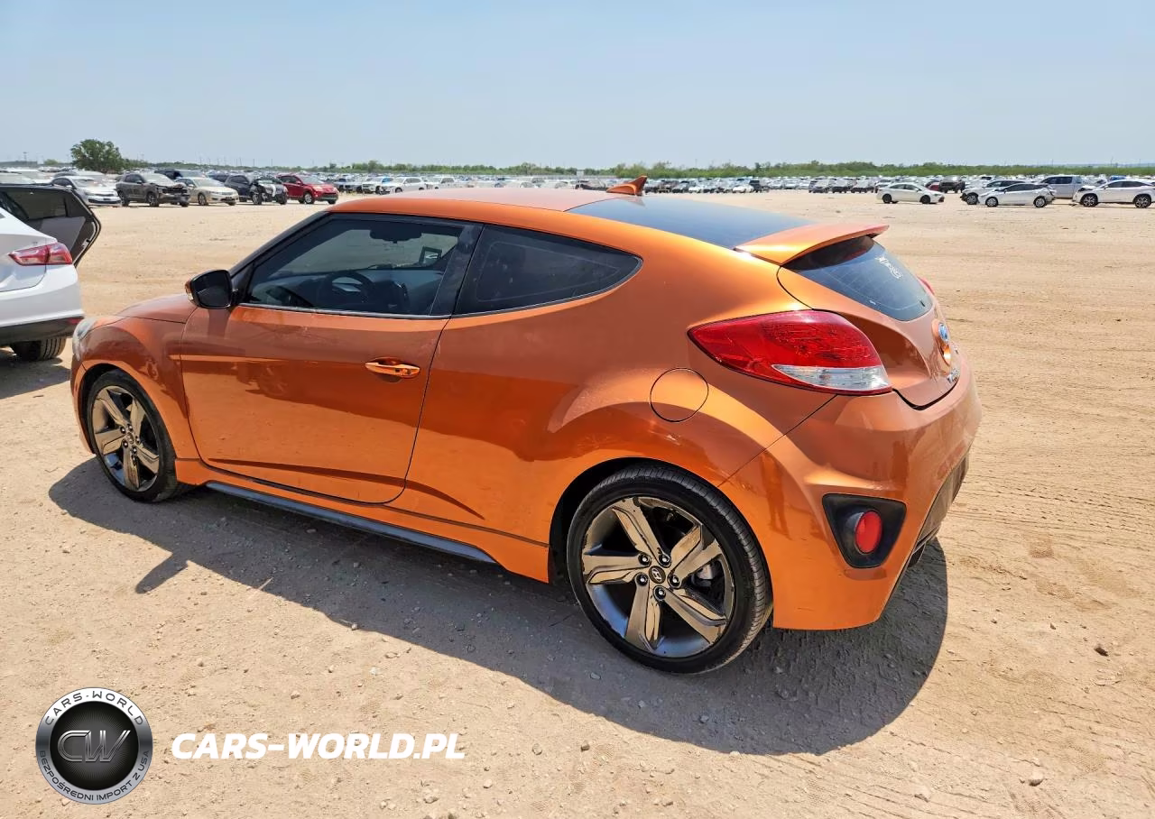 2014 Hyundai Veloster Turbo VIN:KMHTC6AE9EU209976 - 2