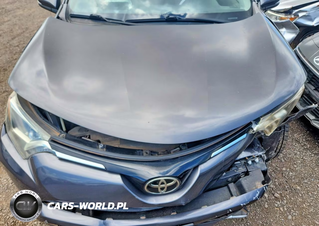 2018 Toyota Rav4 Xle VIN:JTMWFREV9JJ204910 - 12