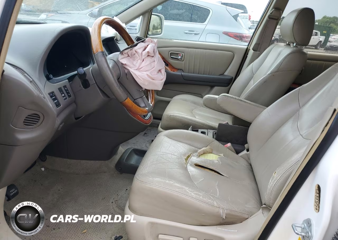 2001 Lexus Rx 300 VIN:JTJHF10U610183736 - 7