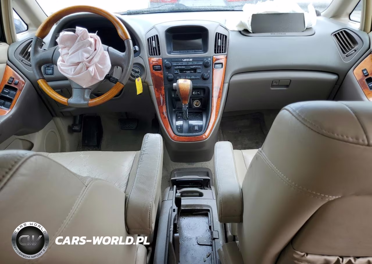 2001 Lexus Rx 300 VIN:JTJHF10U610183736 - 8