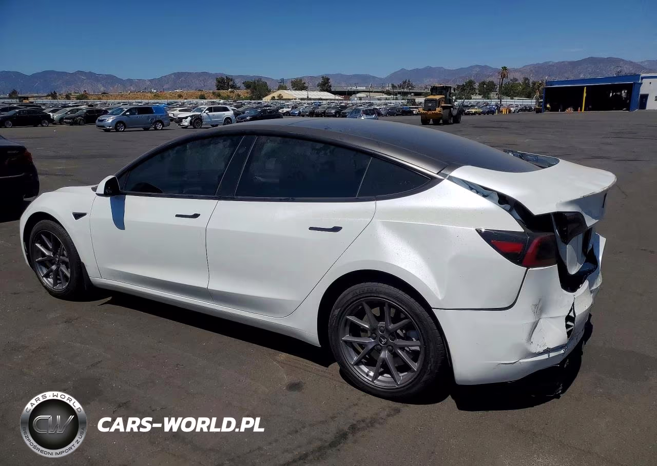 2023 Tesla Model 3 VIN:5YJ3E1EA0PF595742 - 2
