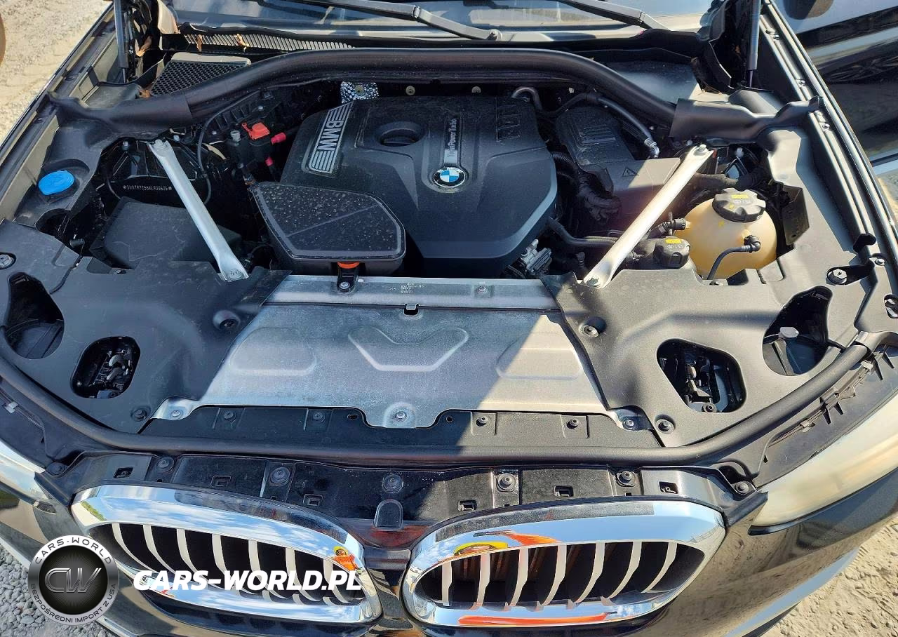 2019 BMW X3 Sdrive30I VIN:5UXTR7C56KLR39625 - 12