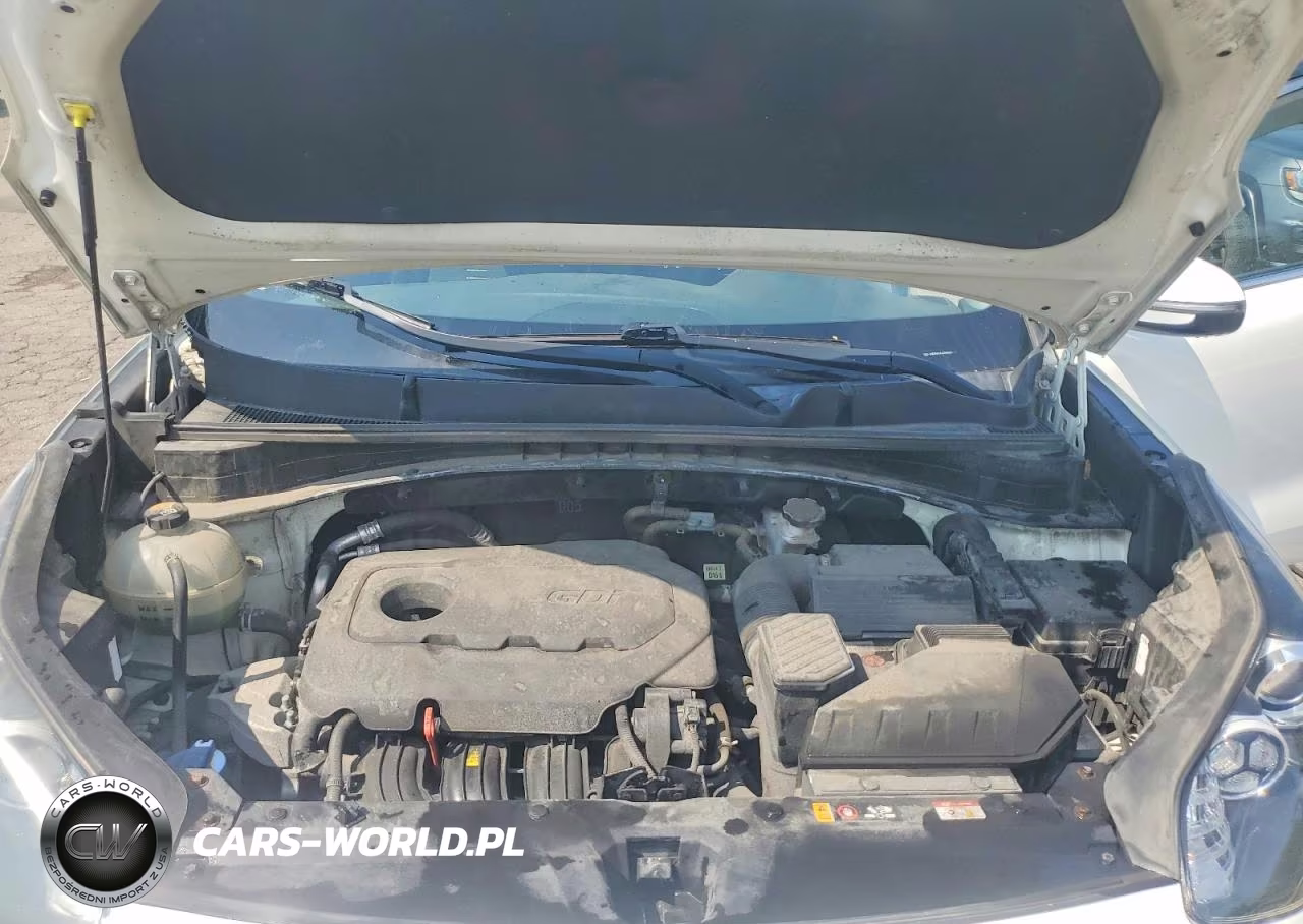 2020 Kia Sportage Lx VIN:KNDPMCAC2L7633527 - 12