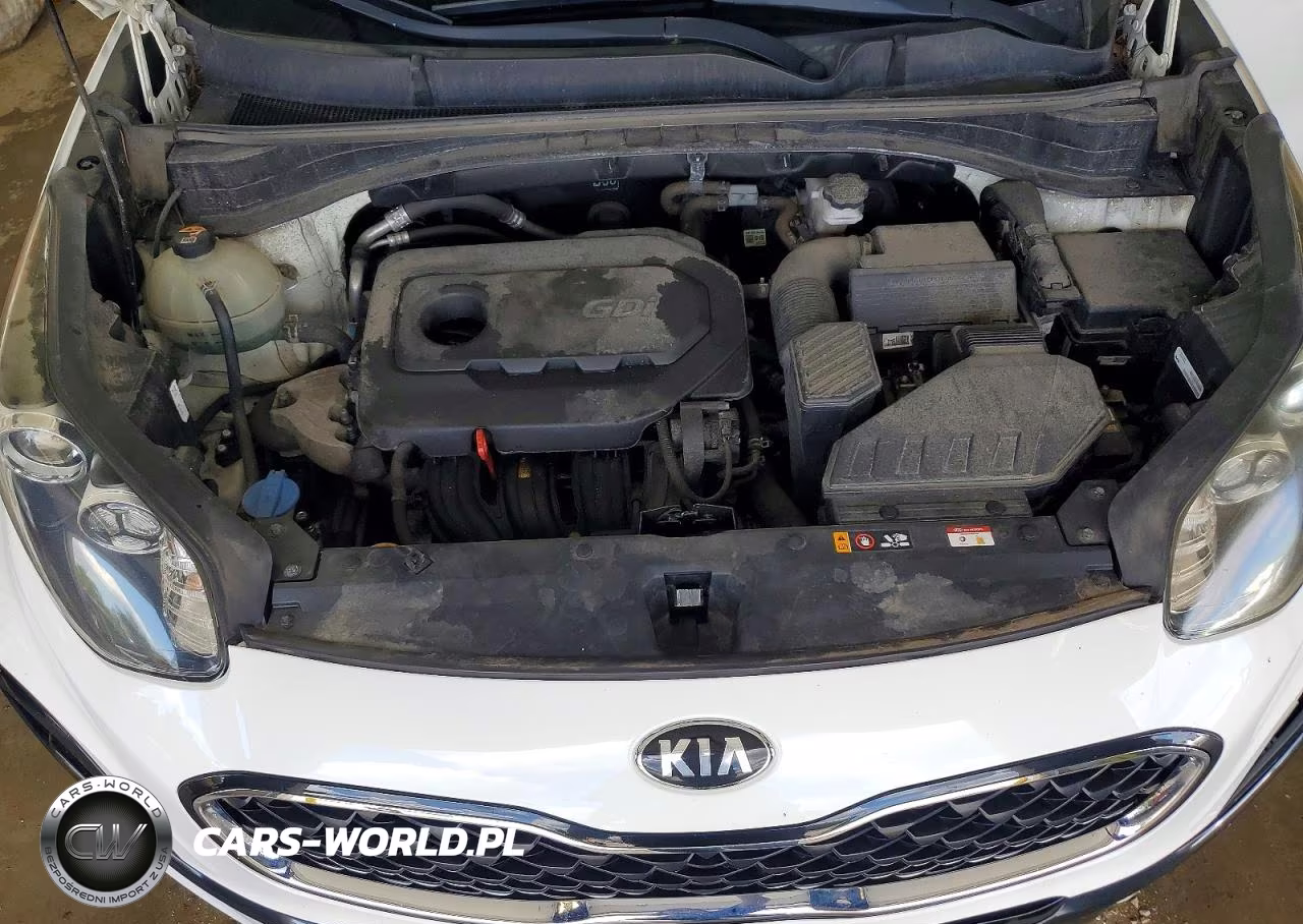 2020 Kia Sportage Lx VIN:KNDPMCACXL7782624 - 12