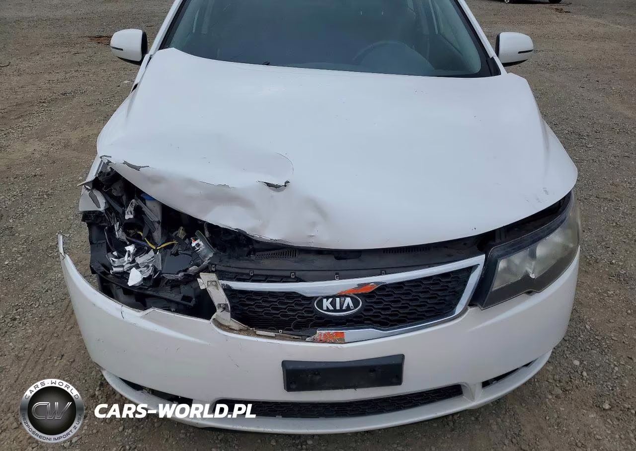 2012 Kia Forte Ex VIN:KNAFU4A22C5533333 - 11