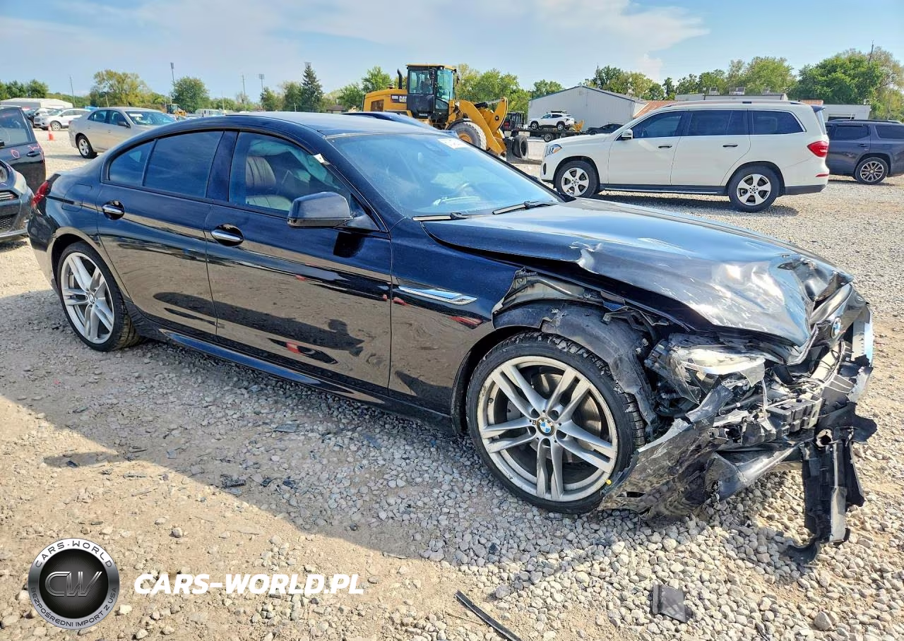 2014 BMW 650 Xi Gran Coupe VIN:WBA6B4C55ED099026 - 4