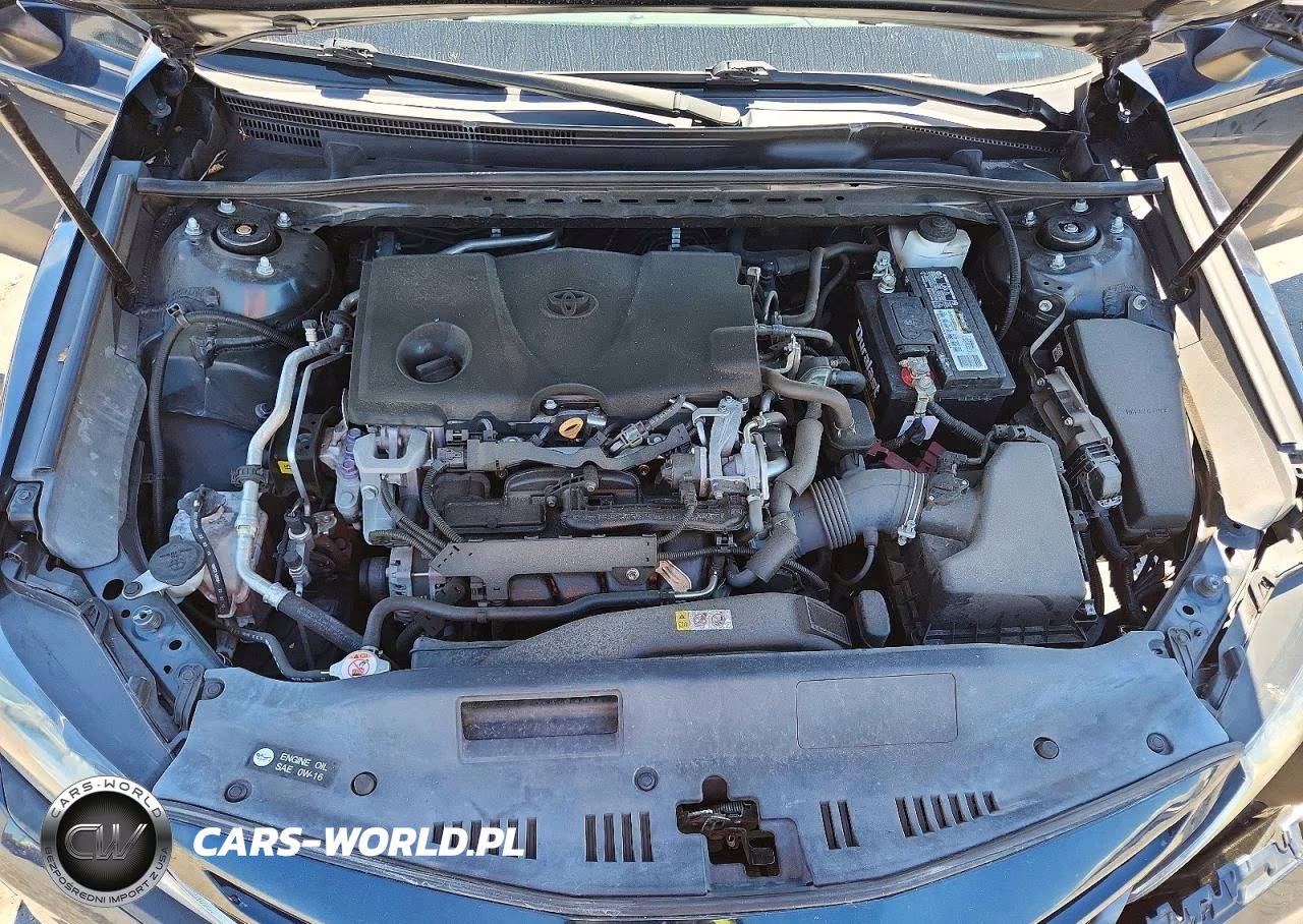 2020 Toyota Camry Se VIN:4T1G11AK4LU317970 - 11