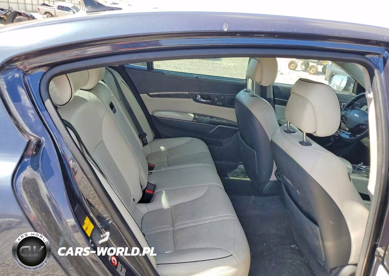 2015 Kia K900 Luxury VIN:KNALW4D40F6017593 - 10