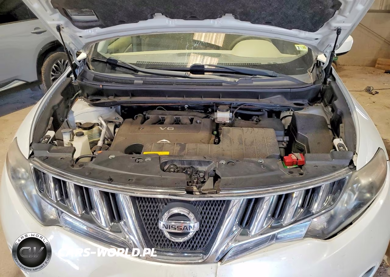 2010 Nissan Murano S VIN:JN8AZ1MU8AW018312 - 12