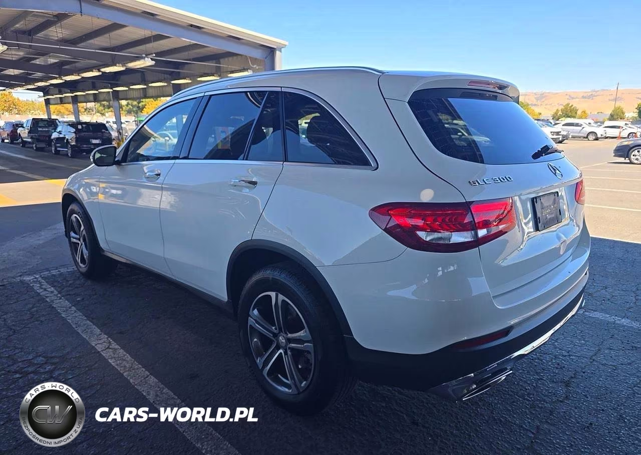 2016 Mercedes-Benz Glc 300 VIN:WDC0G4JB7GF050155 - 3