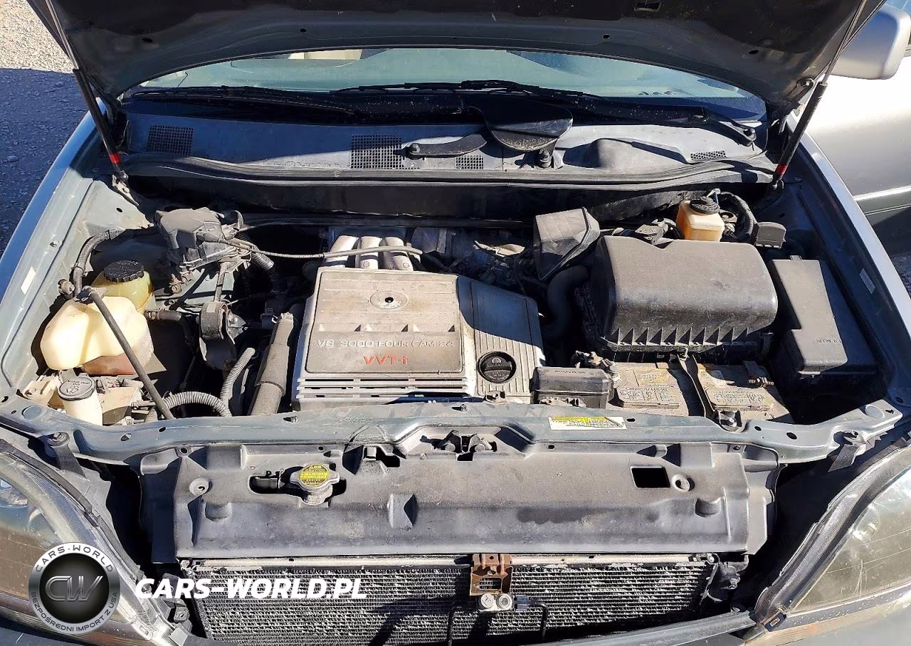 2000 Lexus Rx 300 VIN:JT6HF10U1Y0115963 - 12