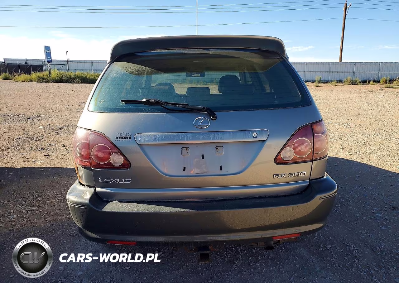 2000 Lexus Rx 300 VIN:JT6HF10U1Y0115963 - 6