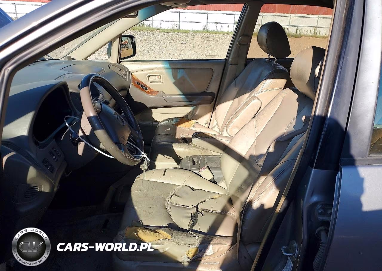 2000 Lexus Rx 300 VIN:JT6HF10U1Y0115963 - 7