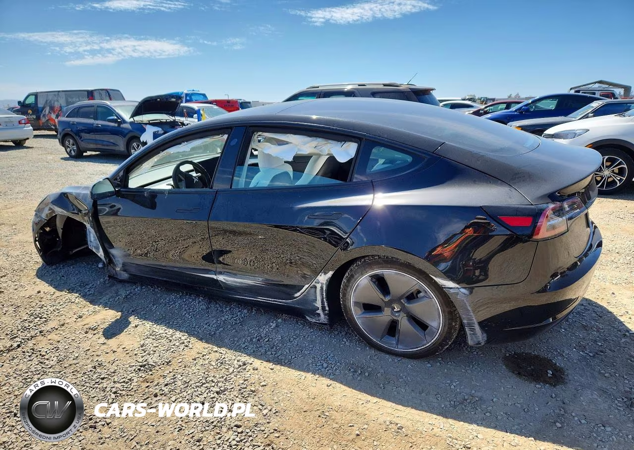 2023 Tesla Model 3 VIN:5YJ3E1EA5PF542230 - 2