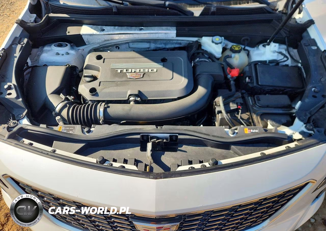 2020 Cadillac Xt4 Premium Luxury VIN:1GYFZDR45LF014727 - 12