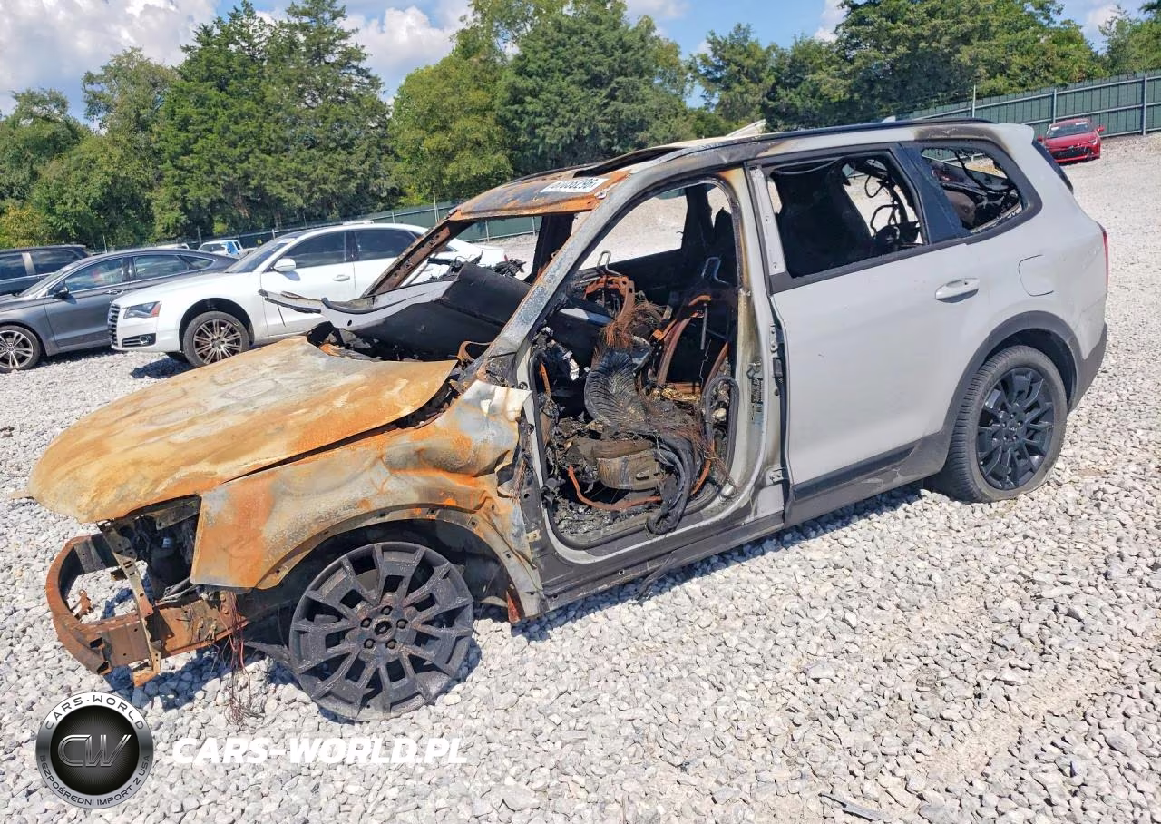 2022 Kia Telluride Ex VIN:5XYP3DHC7NG230339 - 1