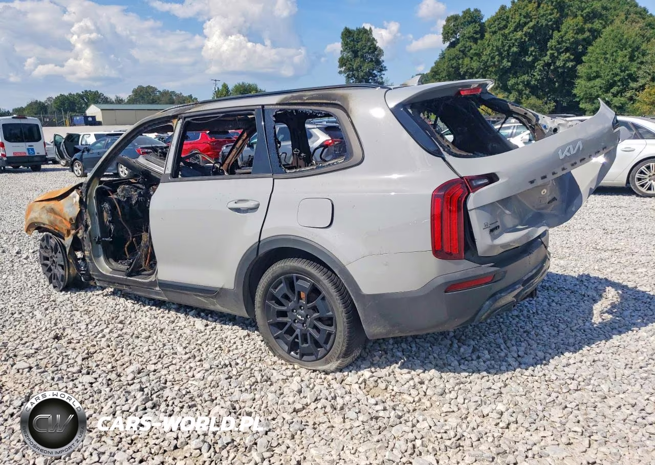 2022 Kia Telluride Ex VIN:5XYP3DHC7NG230339 - 2
