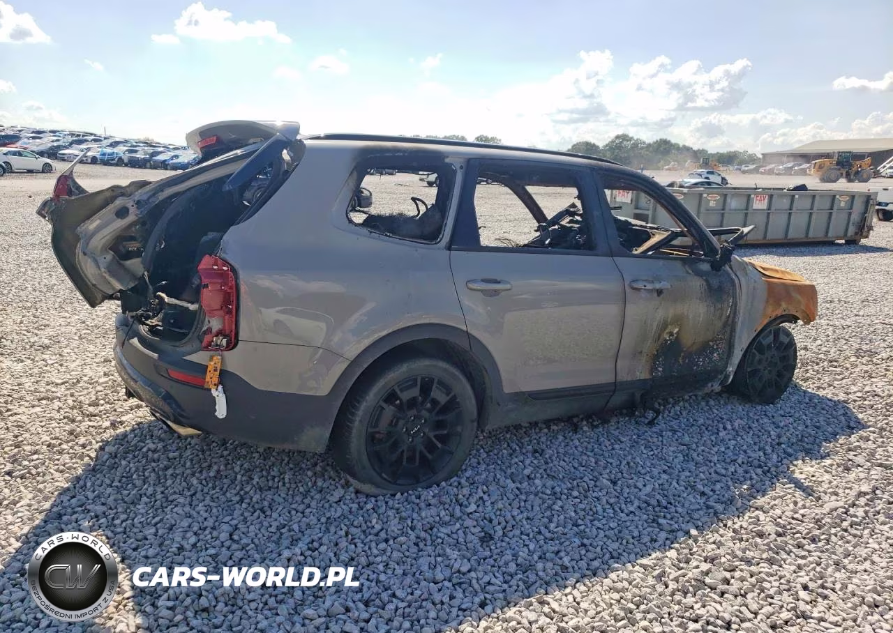 2022 Kia Telluride Ex VIN:5XYP3DHC7NG230339 - 3