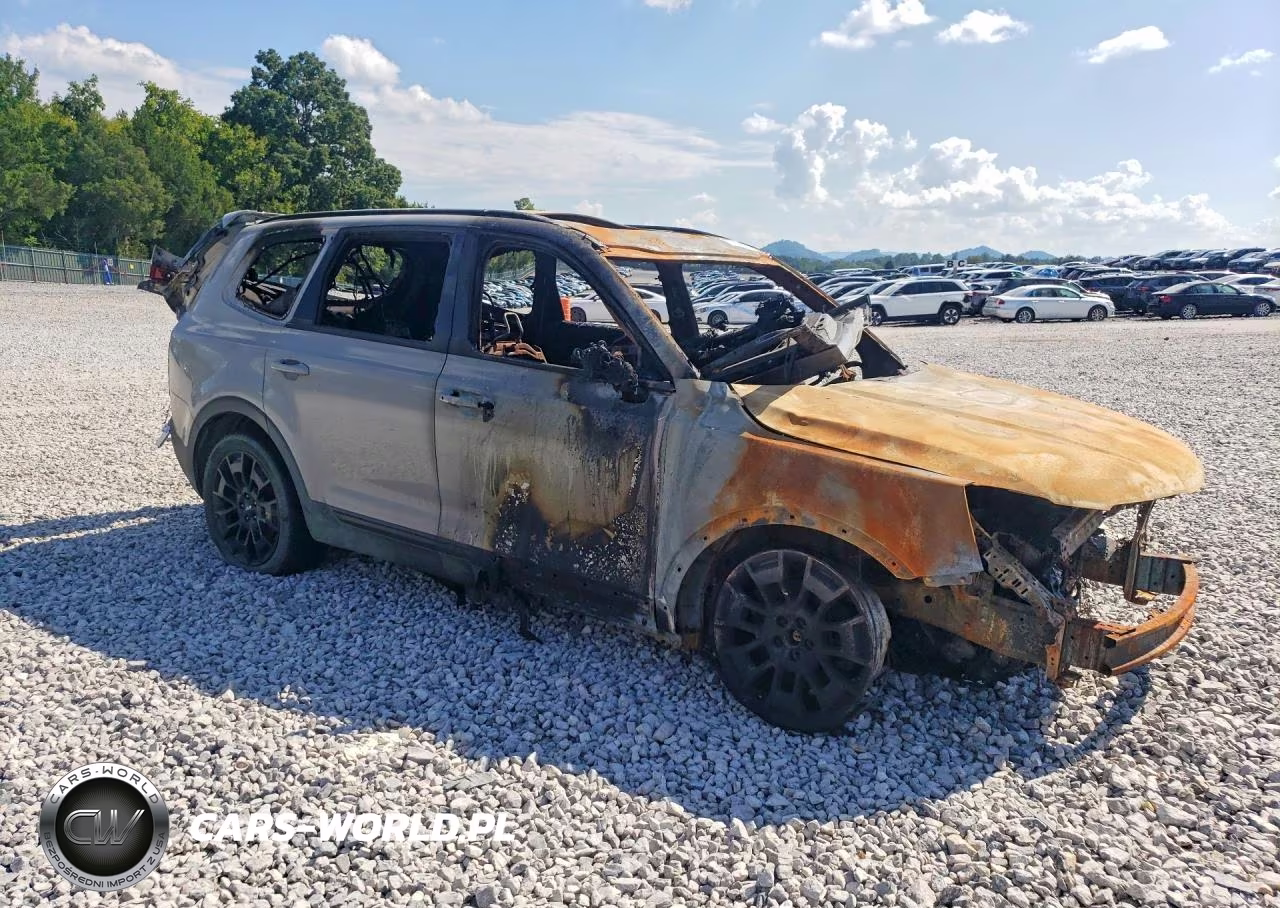 2022 Kia Telluride Ex VIN:5XYP3DHC7NG230339 - 4