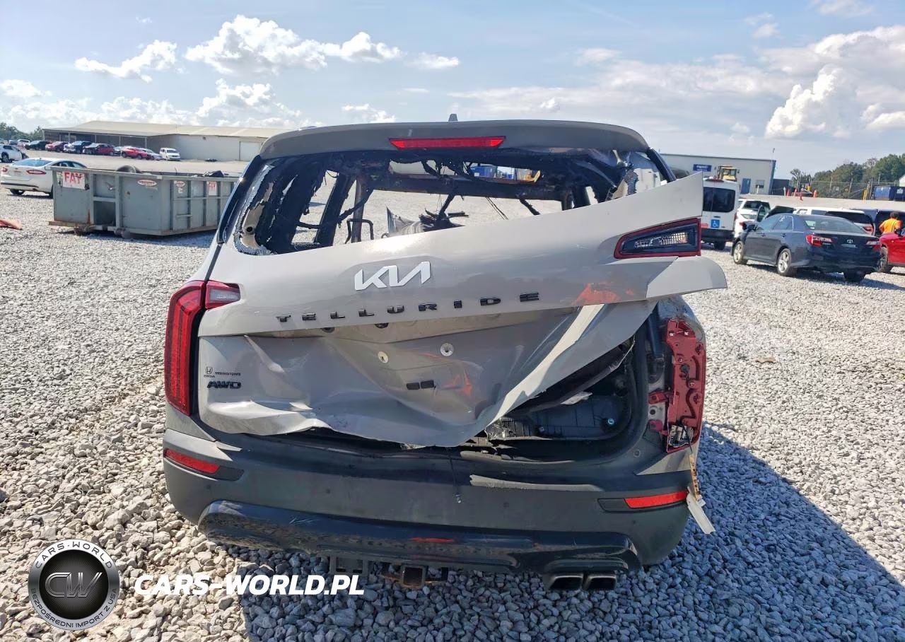 2022 Kia Telluride Ex VIN:5XYP3DHC7NG230339 - 6