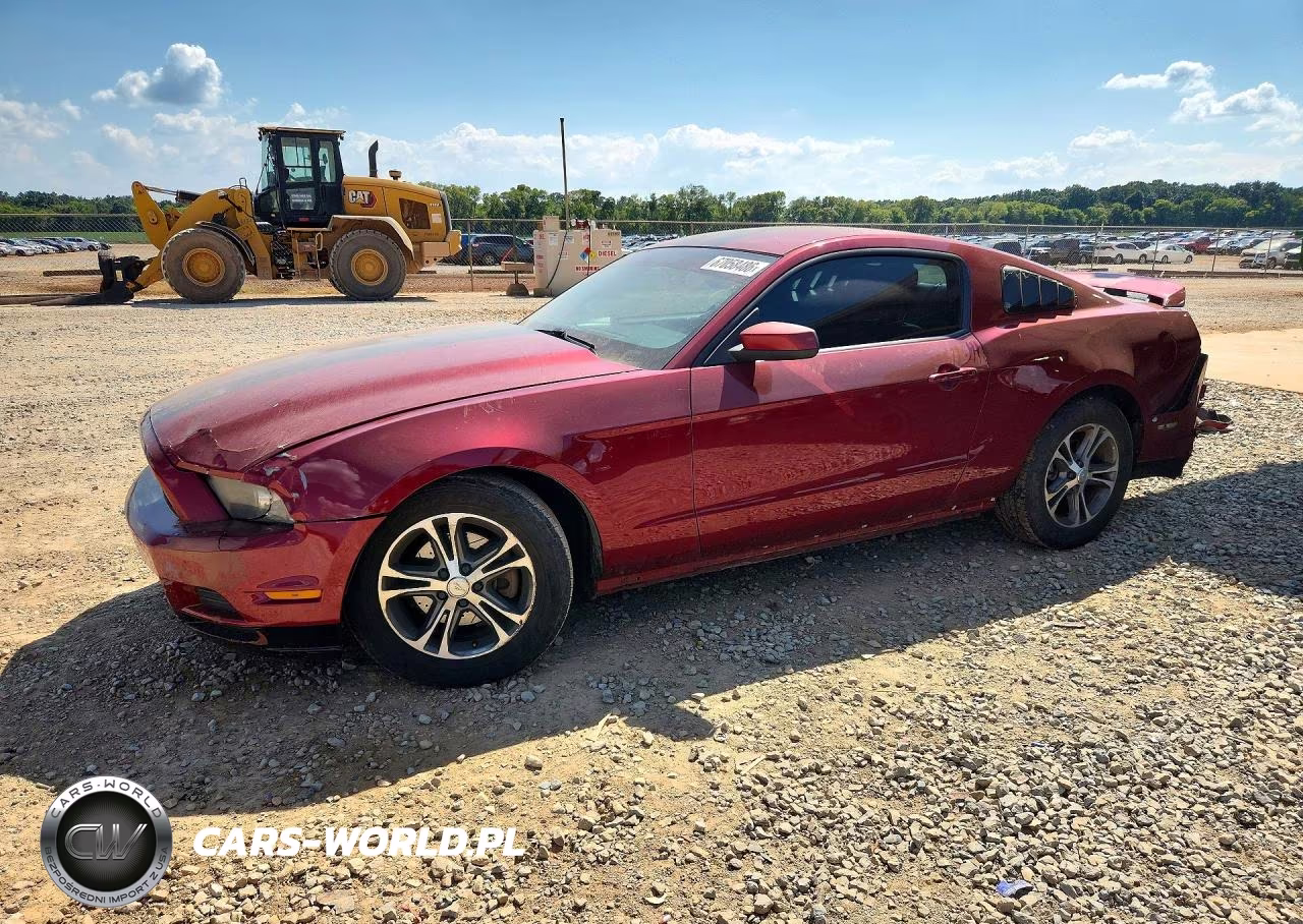 2014 Ford Mustang VIN:1ZVBP8AMXE5314072 - 1