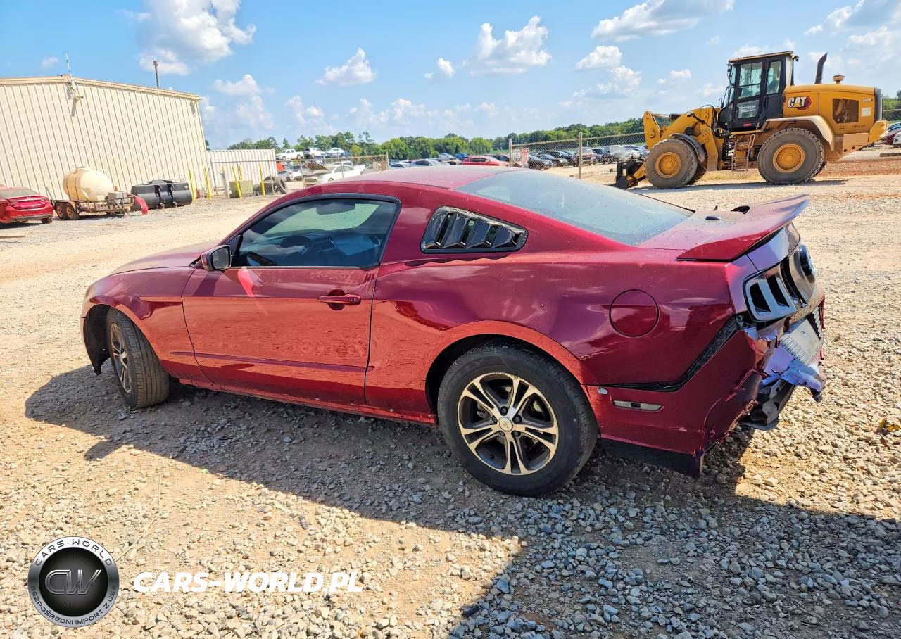 2014 Ford Mustang VIN:1ZVBP8AMXE5314072 - 2