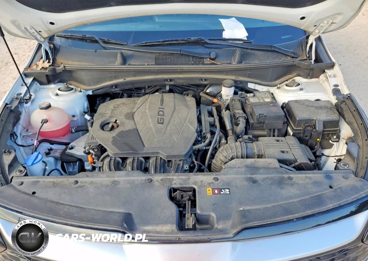 2023 Kia Sportage Ex VIN:5XYK33AFXPG046430 - 12