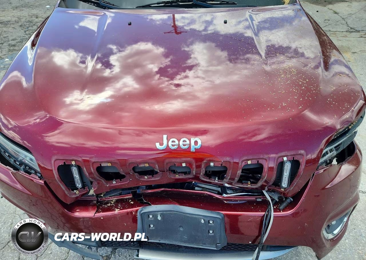2019 Jeep Cherokee Limited VIN:1C4PJMDX6KD446451 - 12