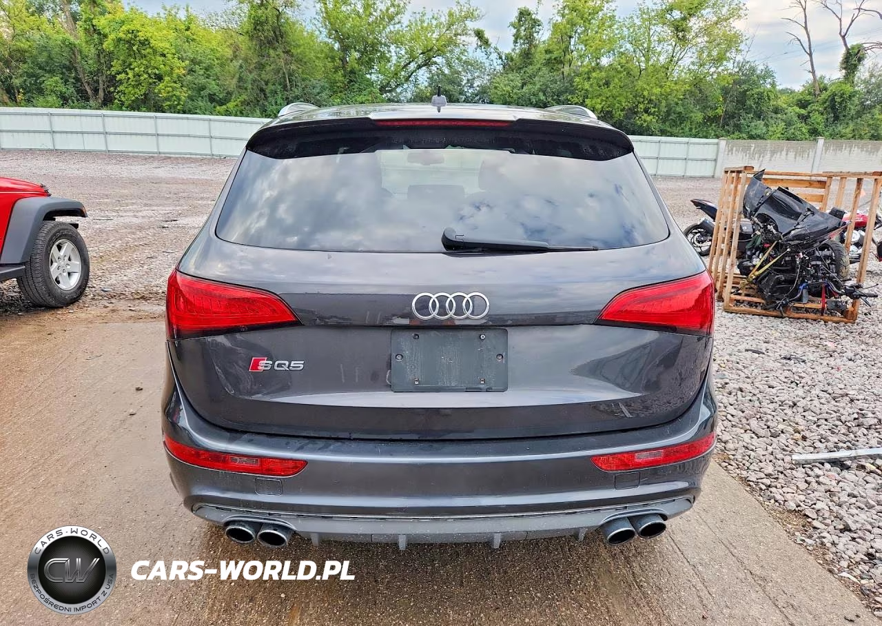 2015 Audi Sq5 Premium Plus VIN:WA1CGAFP8FA114618 - 6