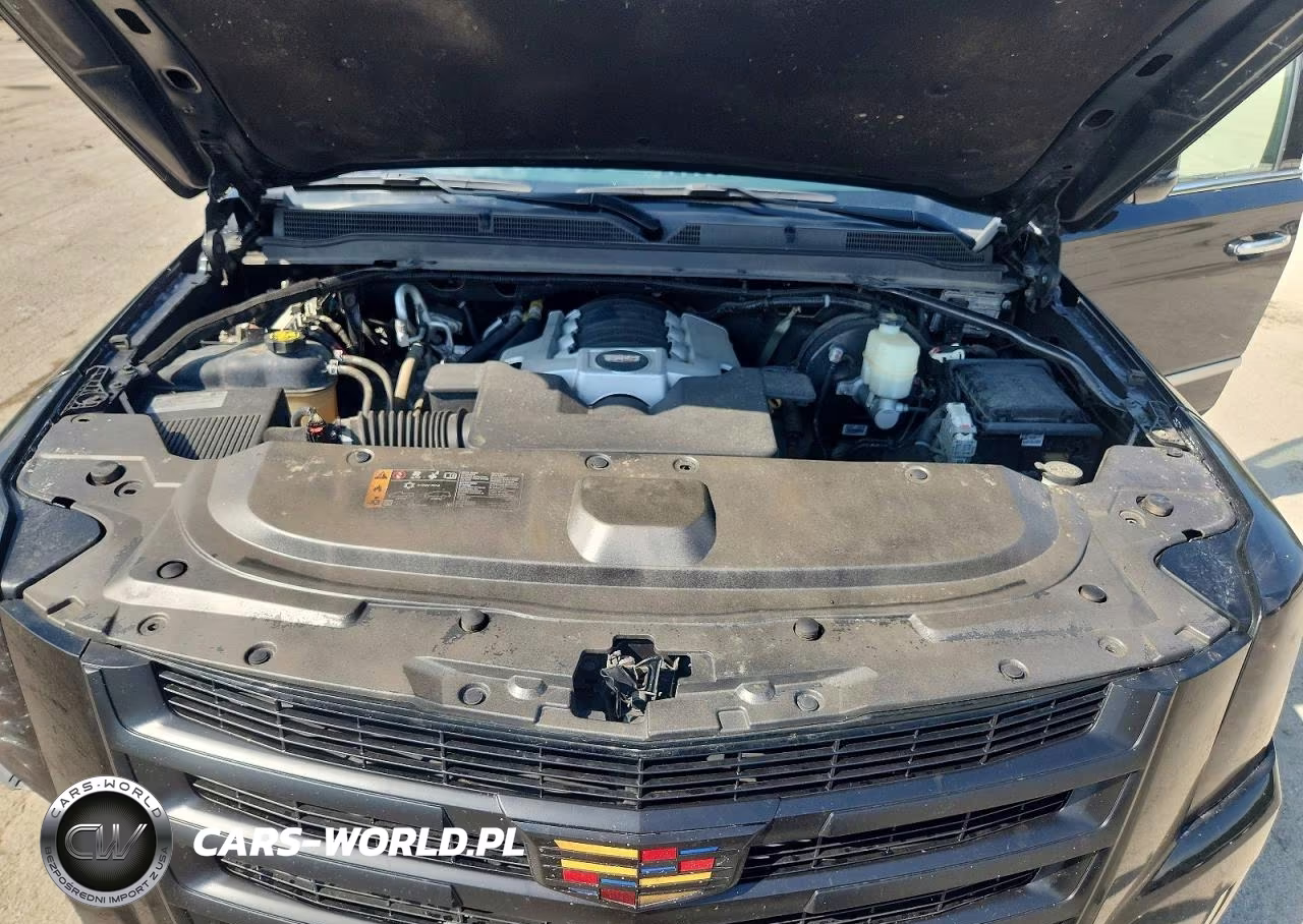 2020 Cadillac Escalade Esv Luxury VIN:1GYS4HKJ5LR159530 - 12