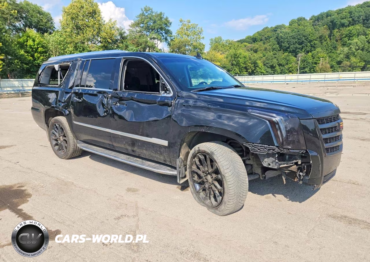 2020 Cadillac Escalade Esv Luxury VIN:1GYS4HKJ5LR159530 - 4