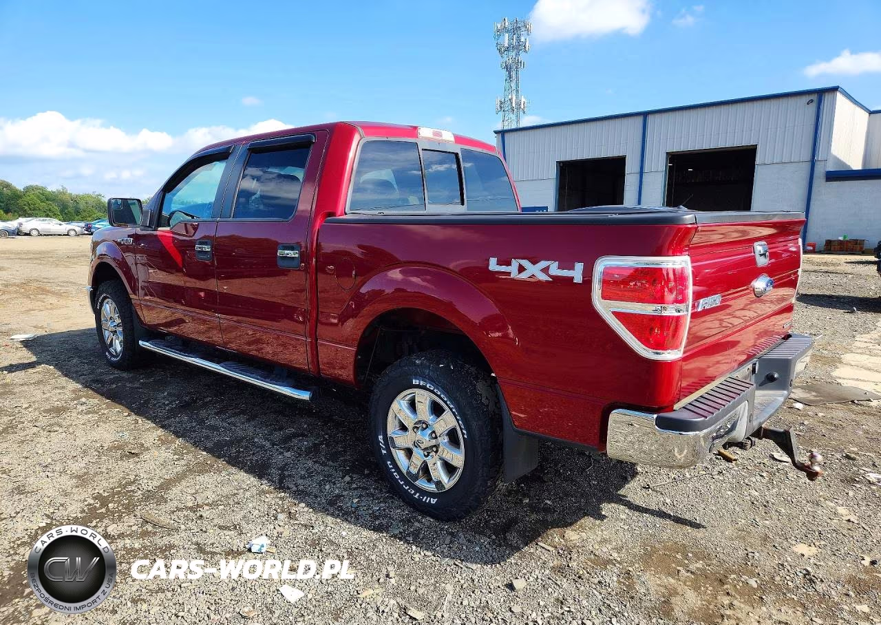 2014 Ford F150 Supercrew VIN:1FTFW1EF3EKG43319 - 2