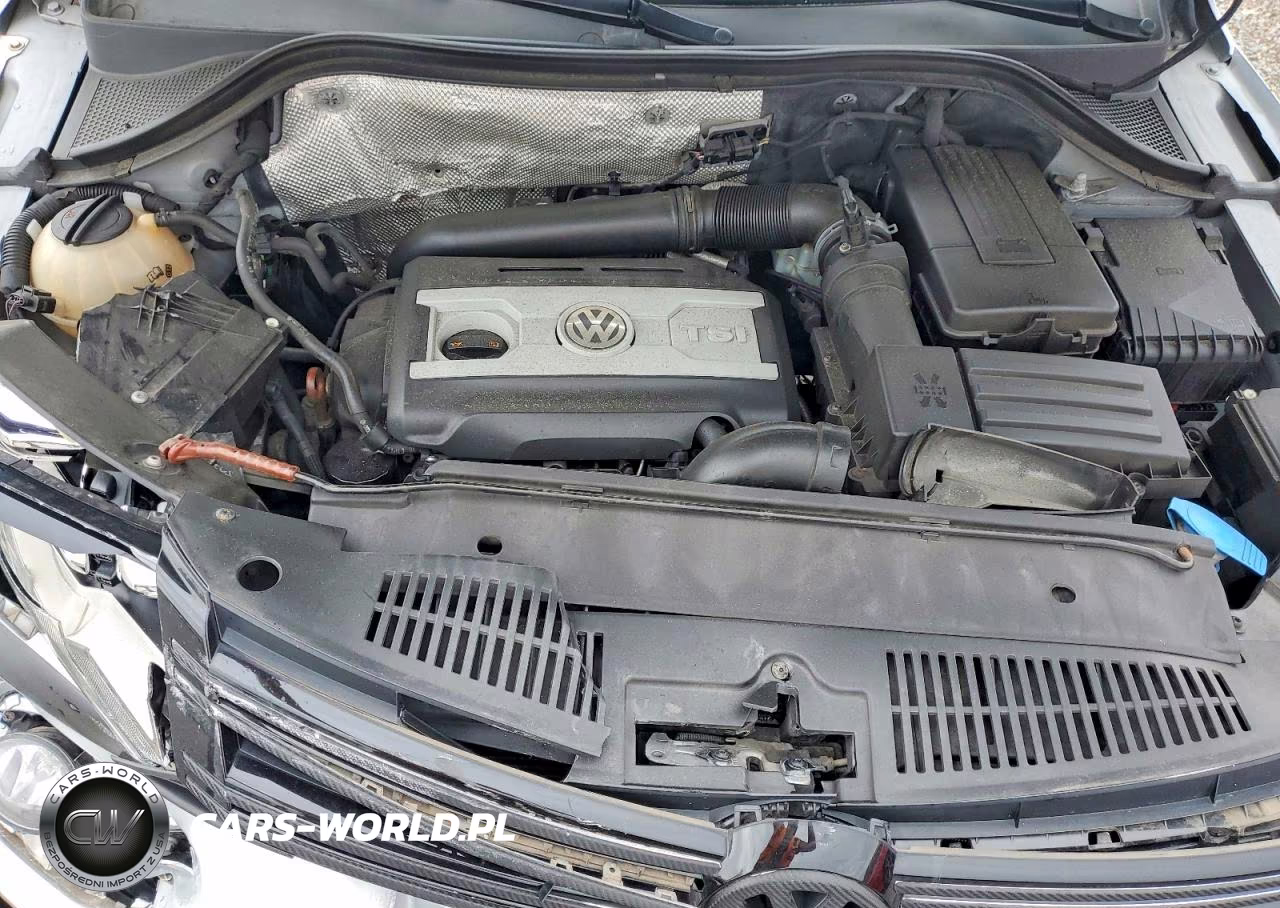 2012 Volkswagen Tiguan S VIN:WVGBV7AX0CW548897 - 12