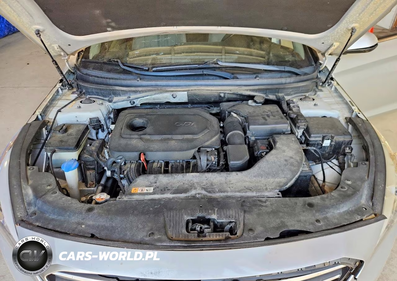 2015 Hyundai Sonata Se VIN:5NPE24AF9FH193349 - 11