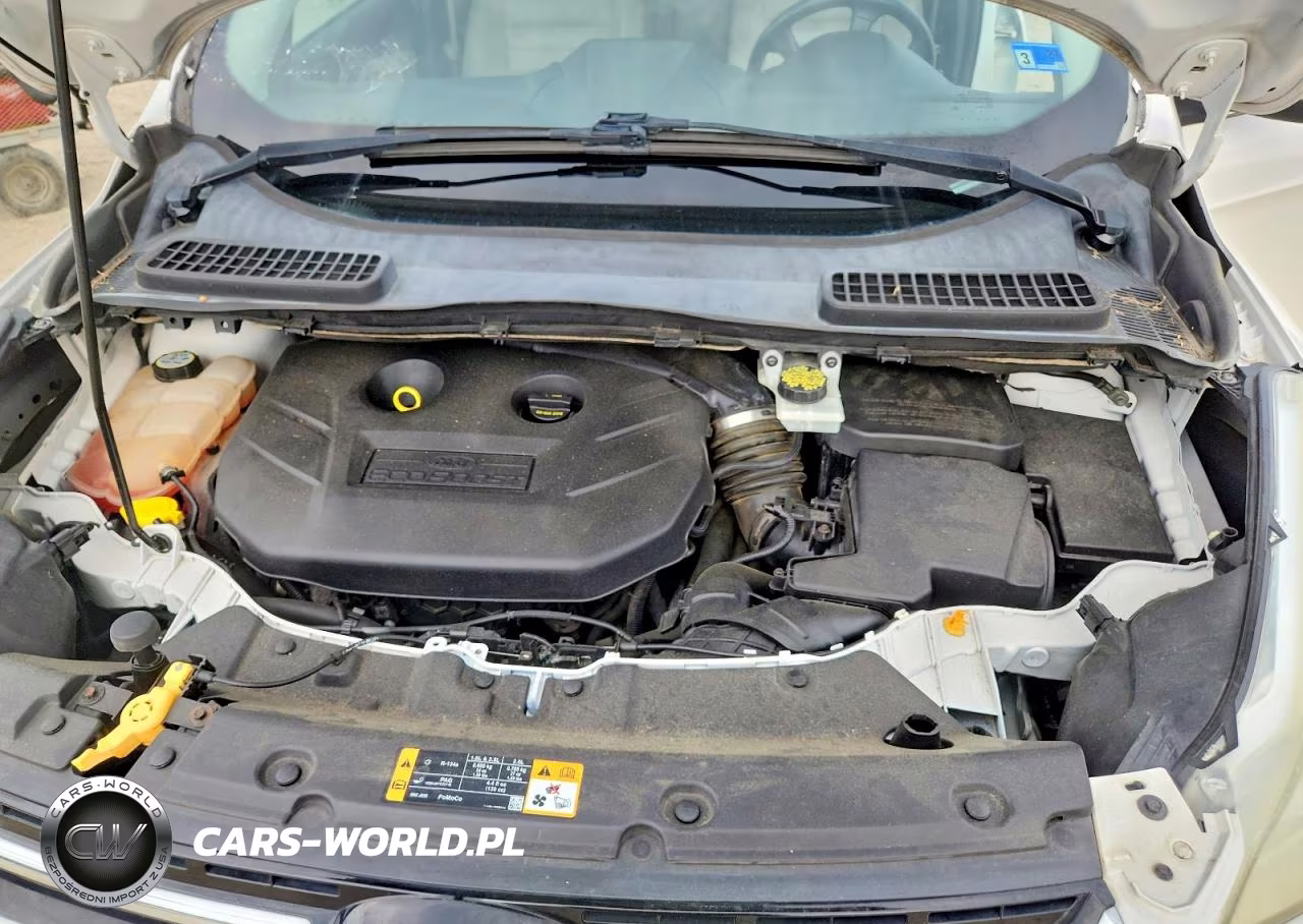 2013 Ford Escape Sel VIN:1FMCU9H96DUB50228 - 12