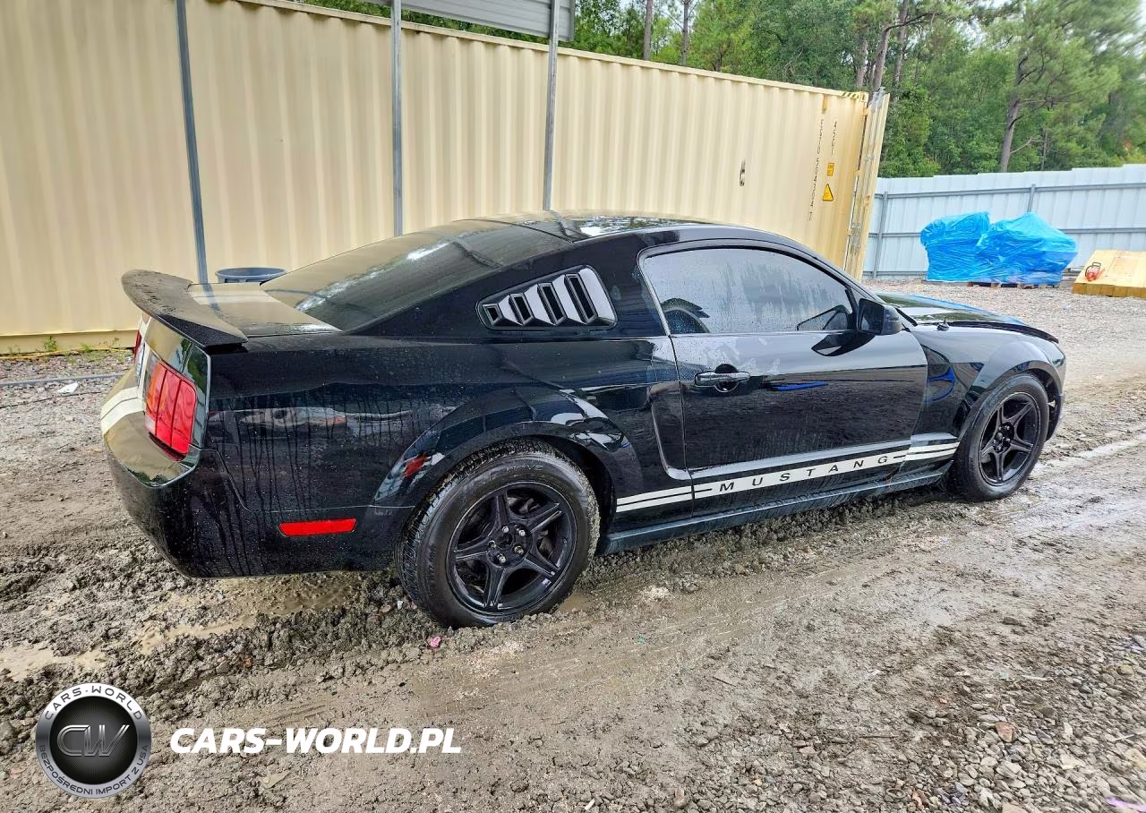 2006 Ford Mustang VIN:1ZVFT80N965255735 - 3