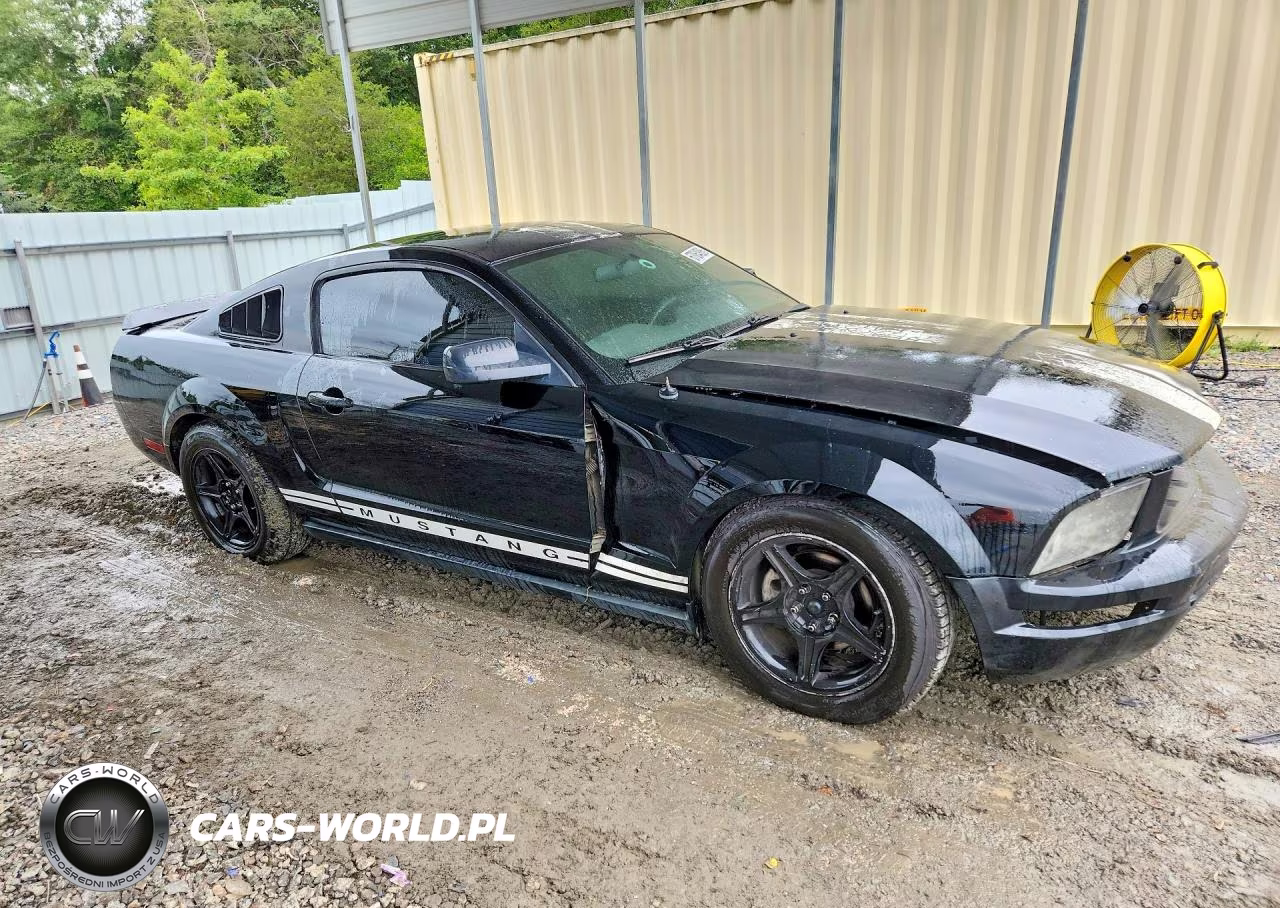2006 Ford Mustang VIN:1ZVFT80N965255735 - 4