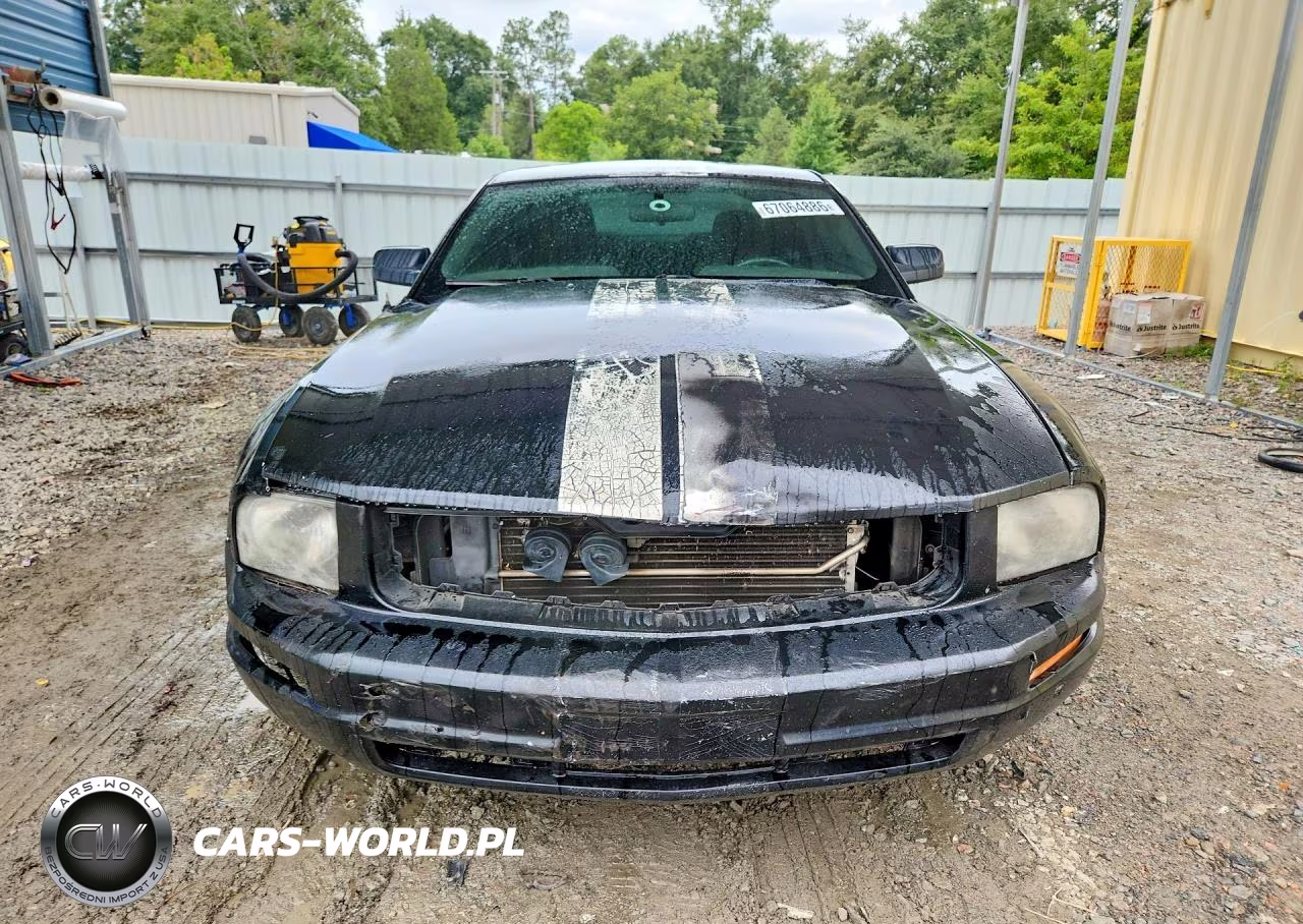 2006 Ford Mustang VIN:1ZVFT80N965255735 - 5