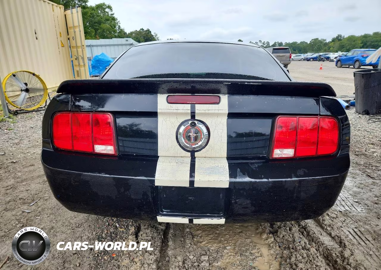 2006 Ford Mustang VIN:1ZVFT80N965255735 - 6