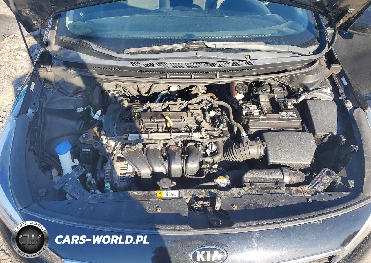 2018 Kia Forte Lx VIN:3KPFK4A75JE282460 - 11