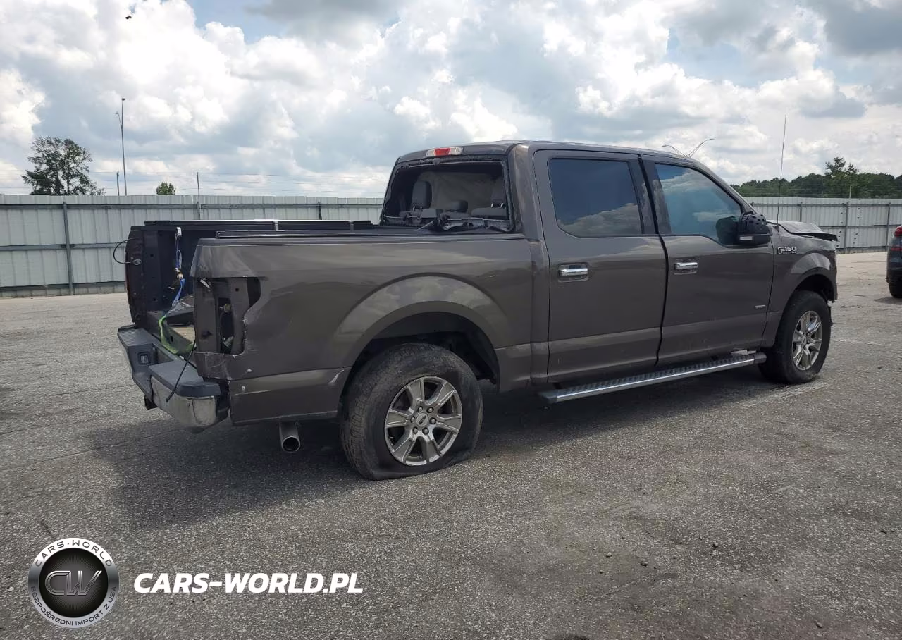 2015 Ford F150 Supercrew VIN:1FTEW1CP3FFC85138 - 3