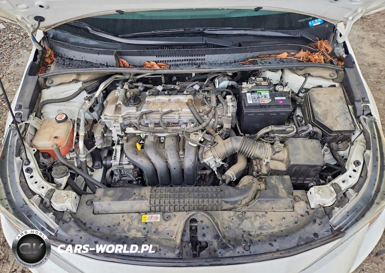 2020 Toyota Corolla Le VIN:5YFEPRAE6LP119150 - 11