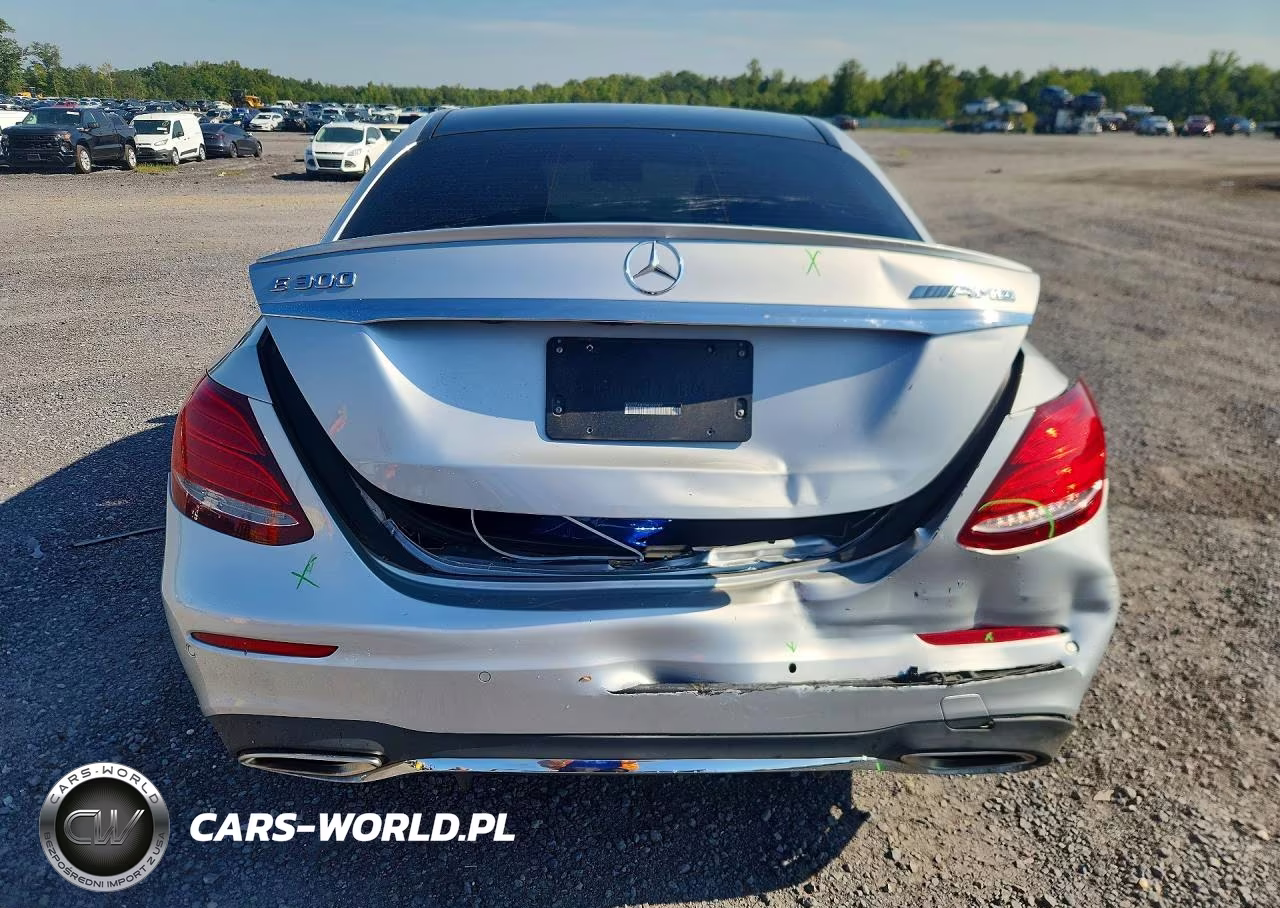 2017 Mercedes-Benz E 300 VIN:WDDZF4JB7HA105787 - 6