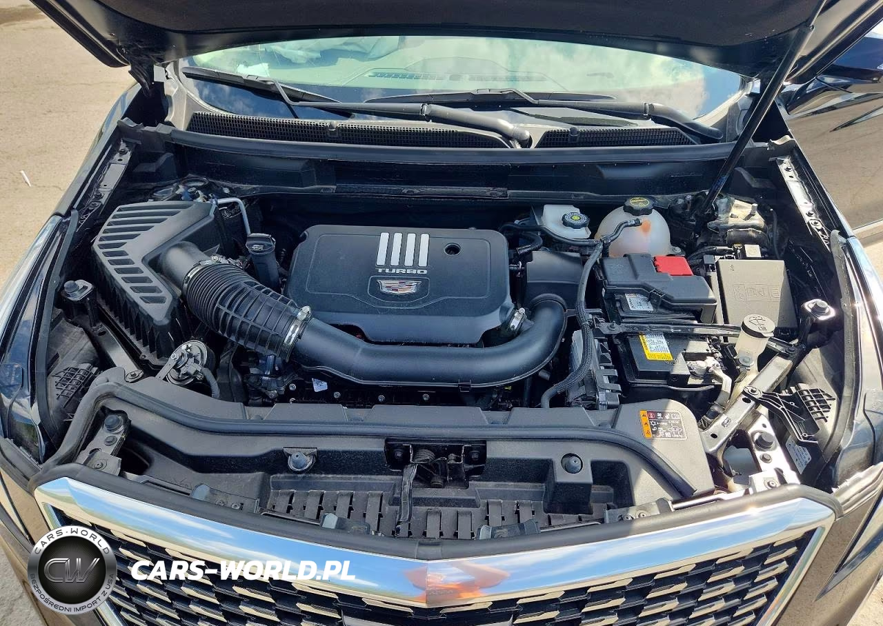 2025 Cadillac Xt5 Premium Luxury VIN:1GYKNDR45SZ134826 - 12
