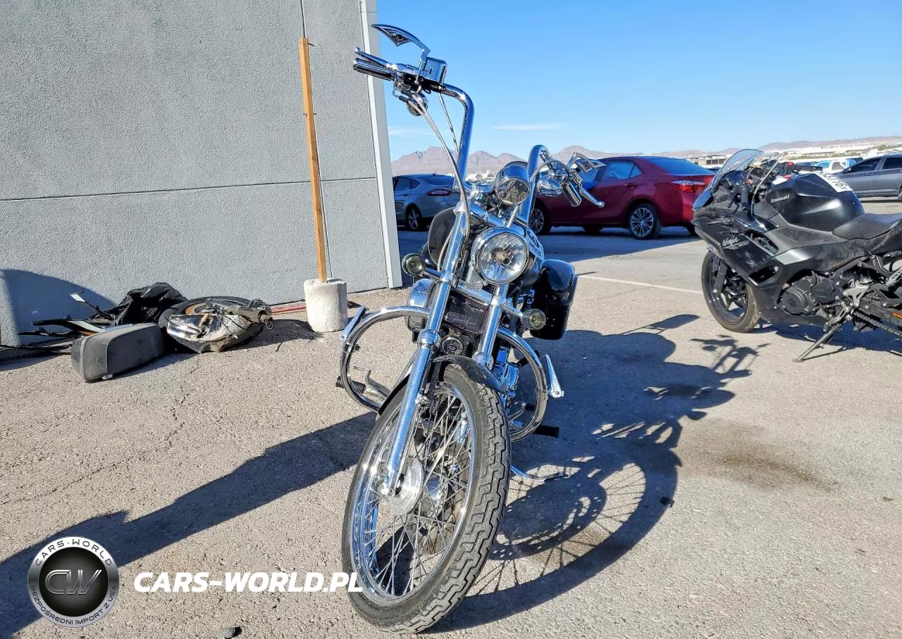 2009 Harley-Davidson Xl1200 C VIN:1HD1CT3199K409387 - 2