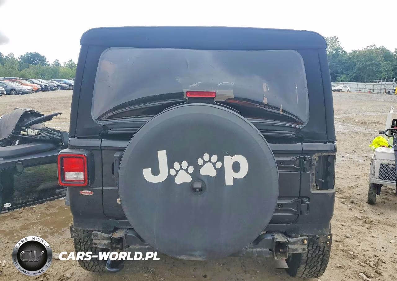 2019 Jeep Wrangler Unlimited Sport VIN:1C4HJXDG6KW555390 - 6