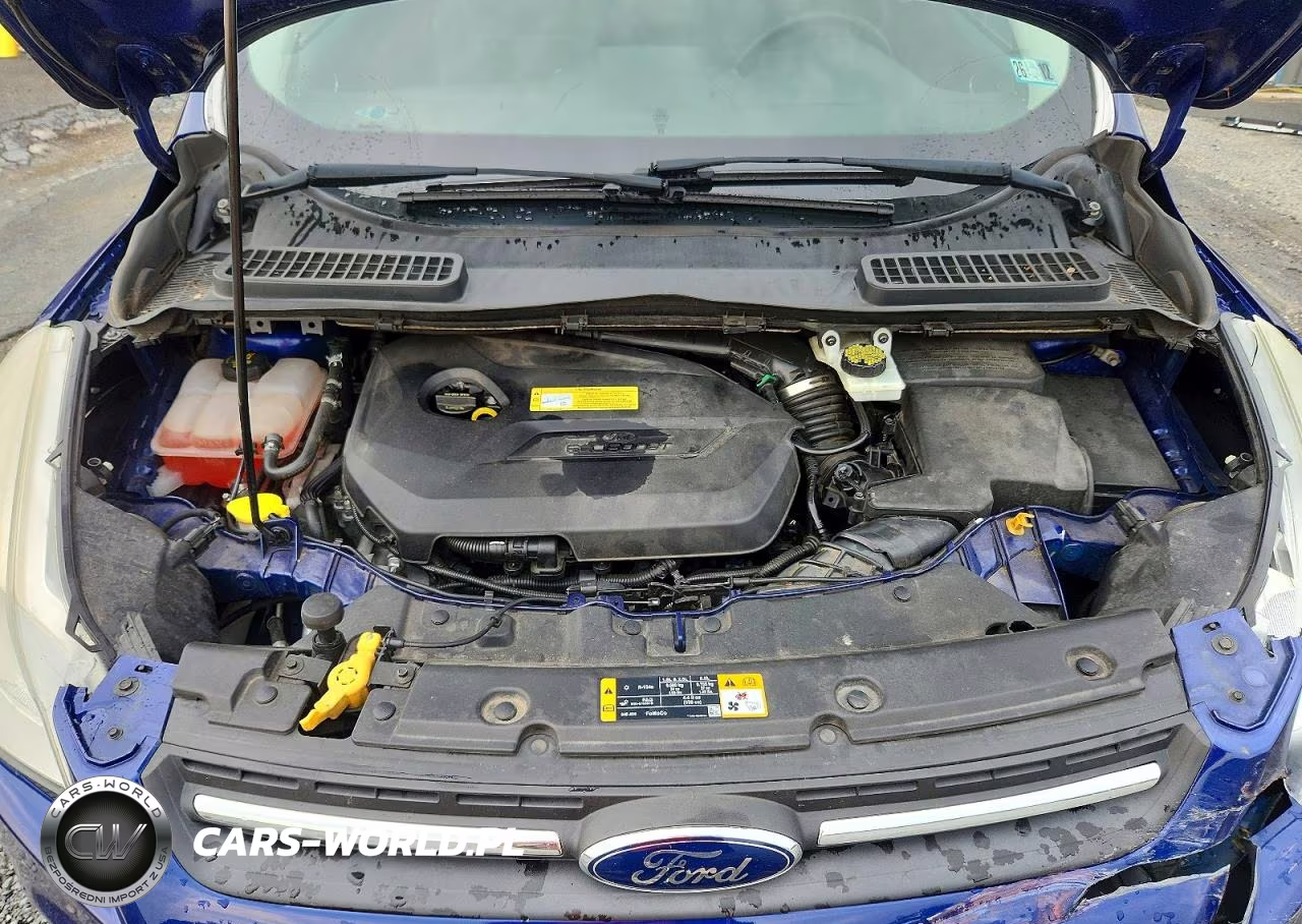 2014 Ford Escape Se VIN:1FMCU0GX8EUA00084 - 12